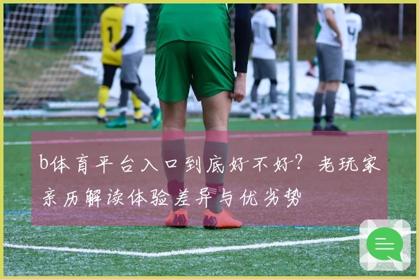 b体育平台入口到底好不好？老玩家亲历解读体验差异与优劣势