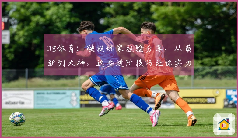 ng体育：硬核玩家经验分享，从萌新到大神，这些进阶技巧让你实力飞升！